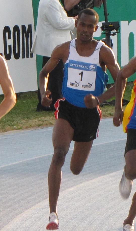 Memorial photograph of Mohammed al-Salhi